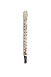 Thermometer - Floating